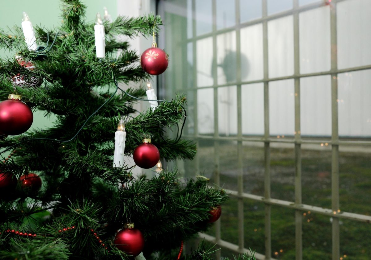 Zwei Thueringer mÃ¼ssen Weihnachten im Knast feiern.