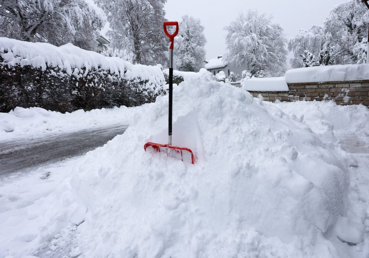 Hilferuf aus dem Thueringer Wald. In Oberhof sorgt der Schnee auf den Pisten zwar fÃ¼r ideale Bedingungen, doch woanders eher fÃ¼r Chaos. (Symbolbild)