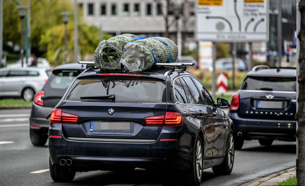 Weihnachtsbaum in Thüringen Transport