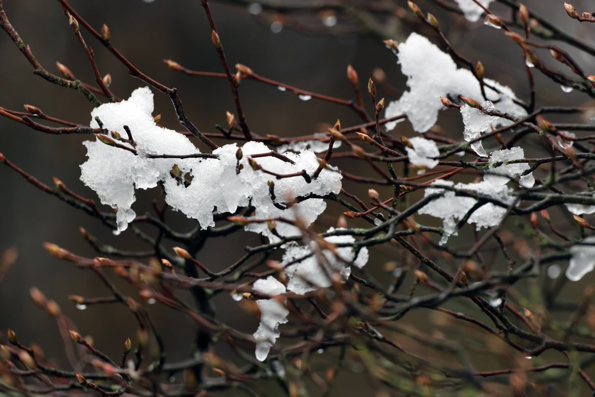 Wetter in ThÃ¼ringen