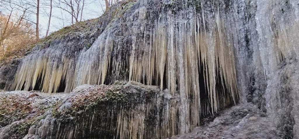 thueringer wald