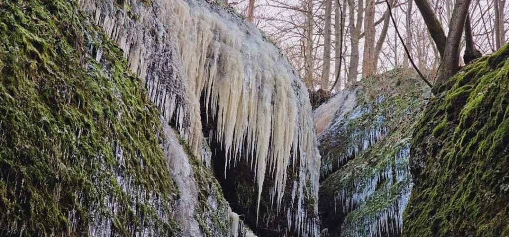 thueringer wald