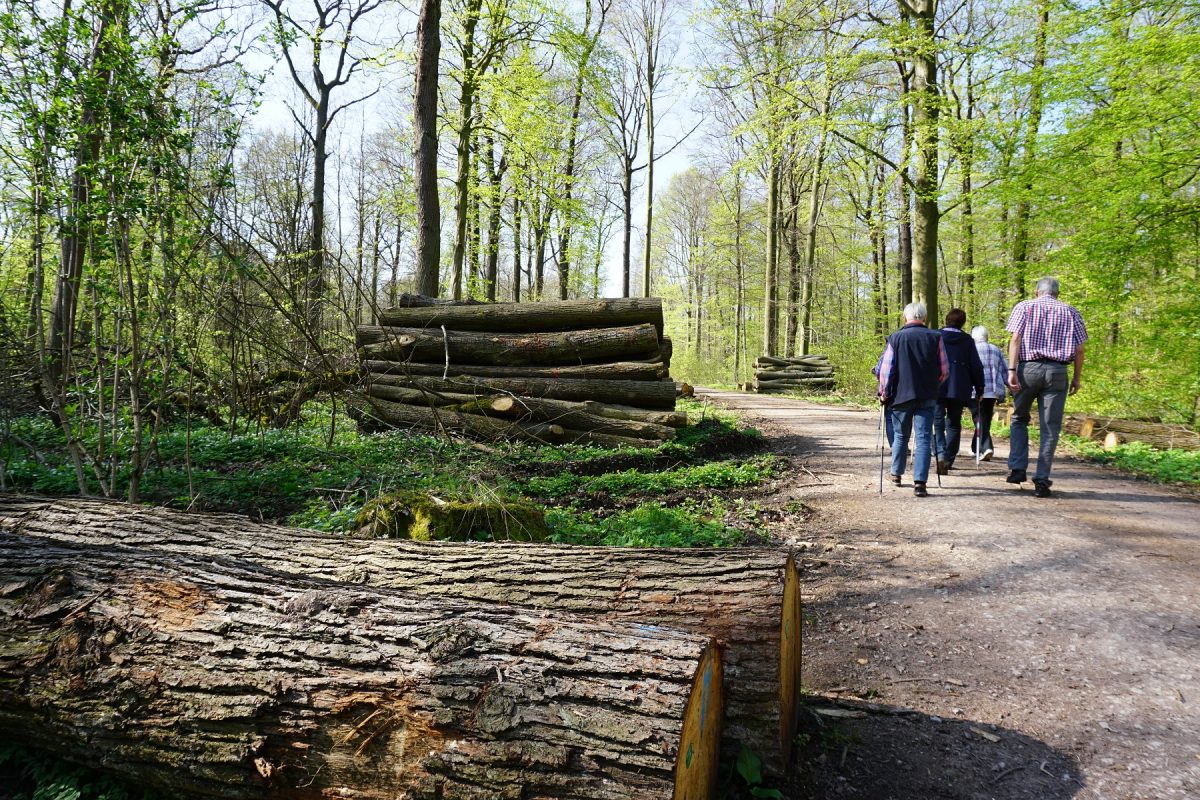 Wetter in Thüringen