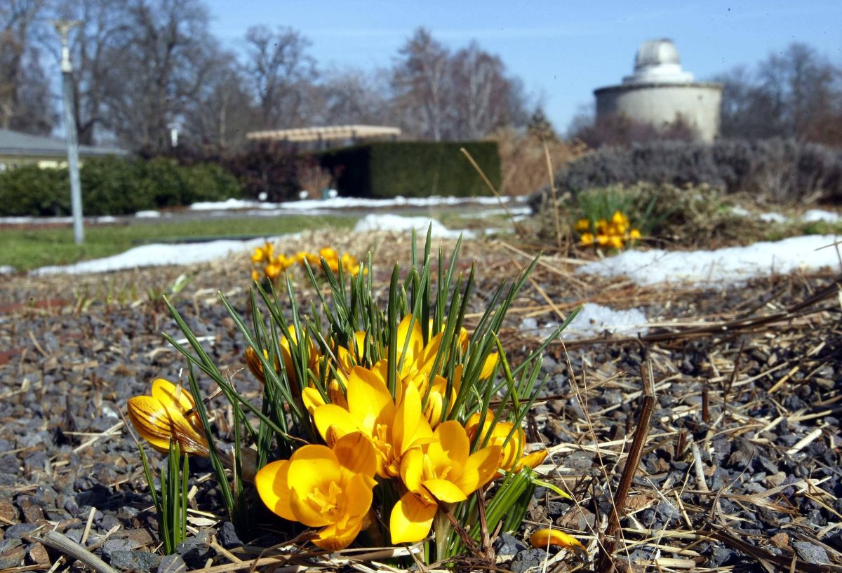 Das Wetter in Thüringen bleibt unbeständig – von Frühlingswetter bis hin zu Tiefdruckfront ist alles dabei.