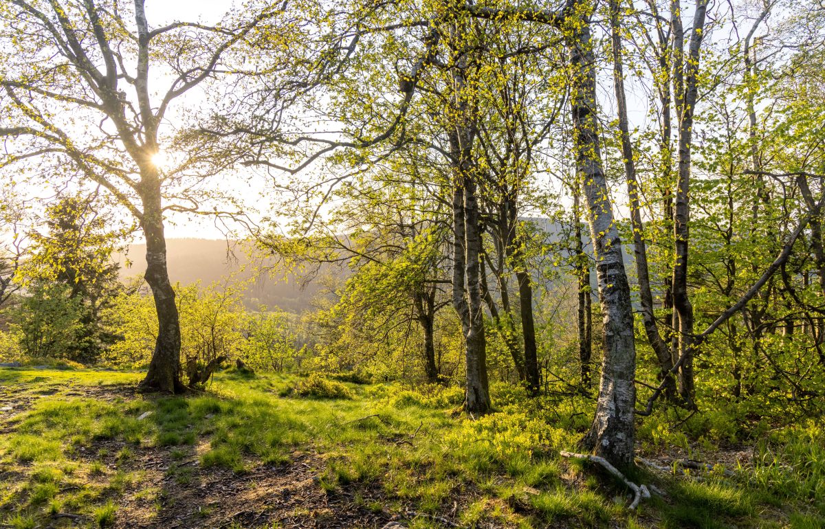 wetter in thüringen