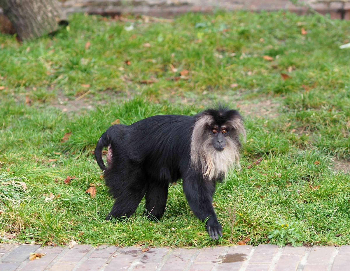 zoo leipzig