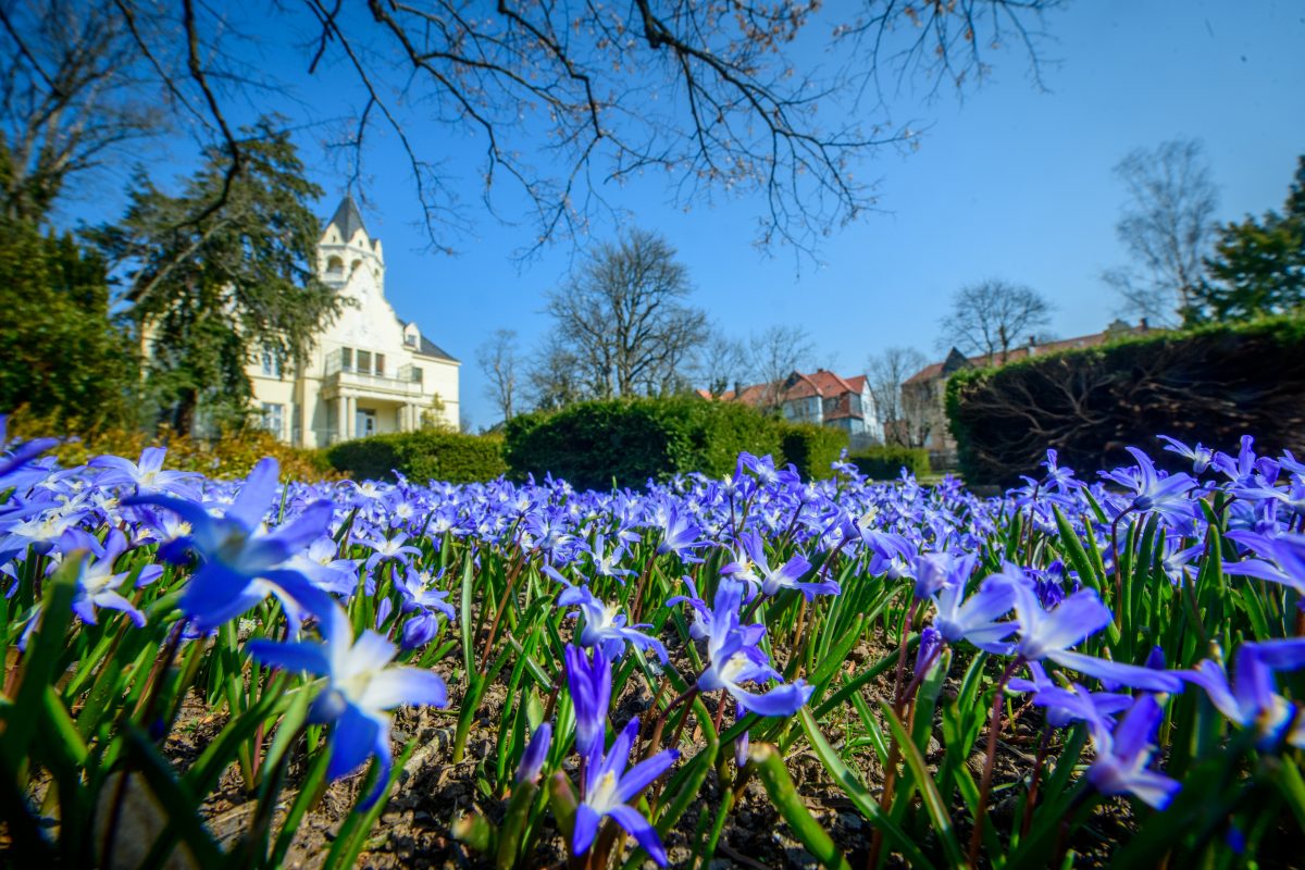 Nachdem wir kurz mal den Sommer fühlen durften, zeigt der April nun seine kalte Seite. (Archivbild)