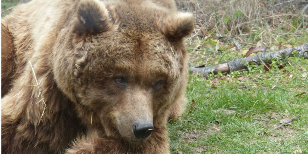 Thueringer Tierpark