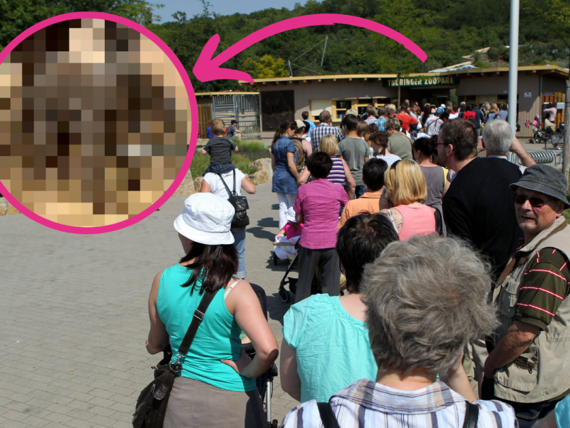 zoo erfurt