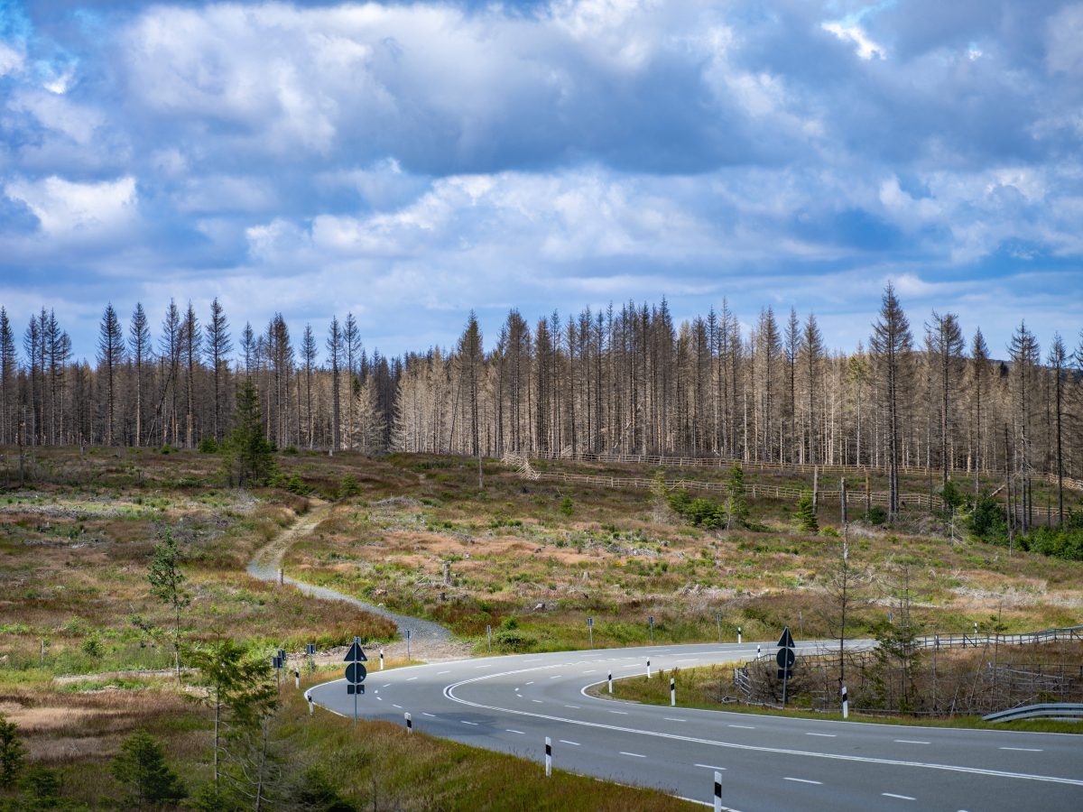 wetter in thüringen