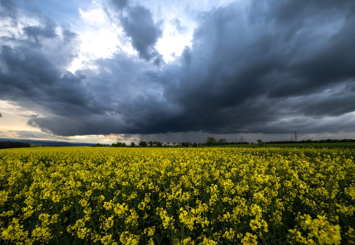 wetter thueringen