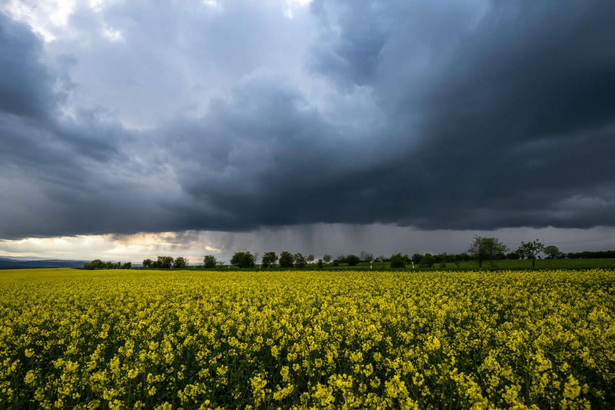 wetter thüringen