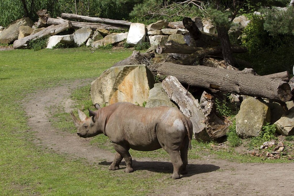 zoo leipzig