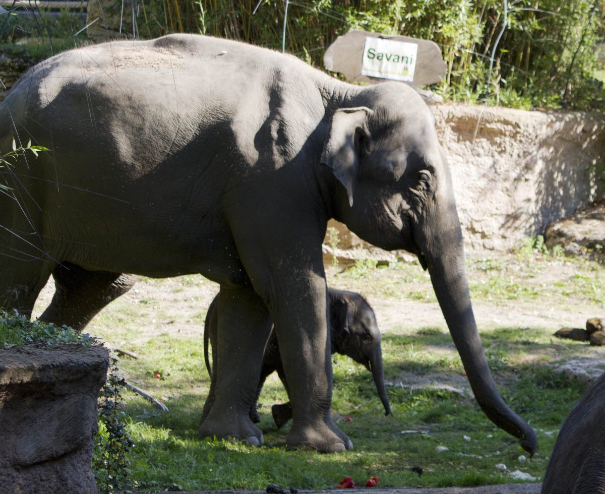 zoo leipzig