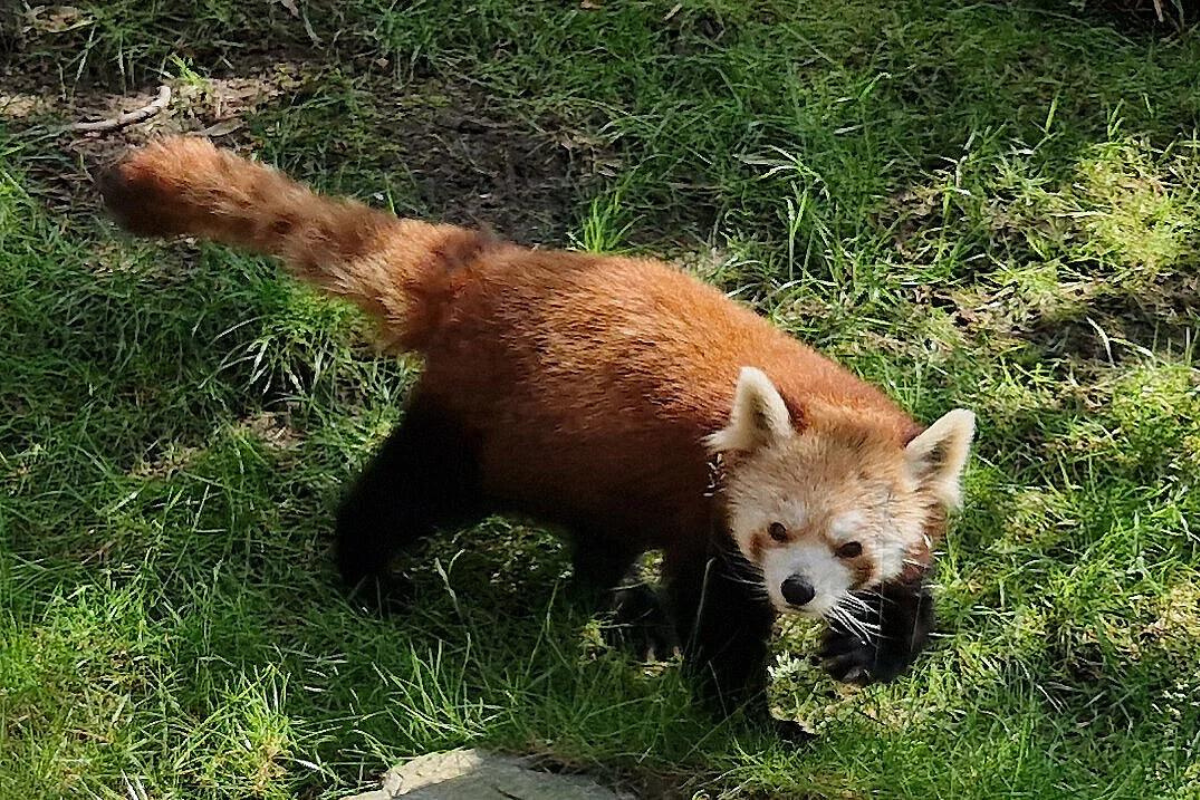 zoo leipzig