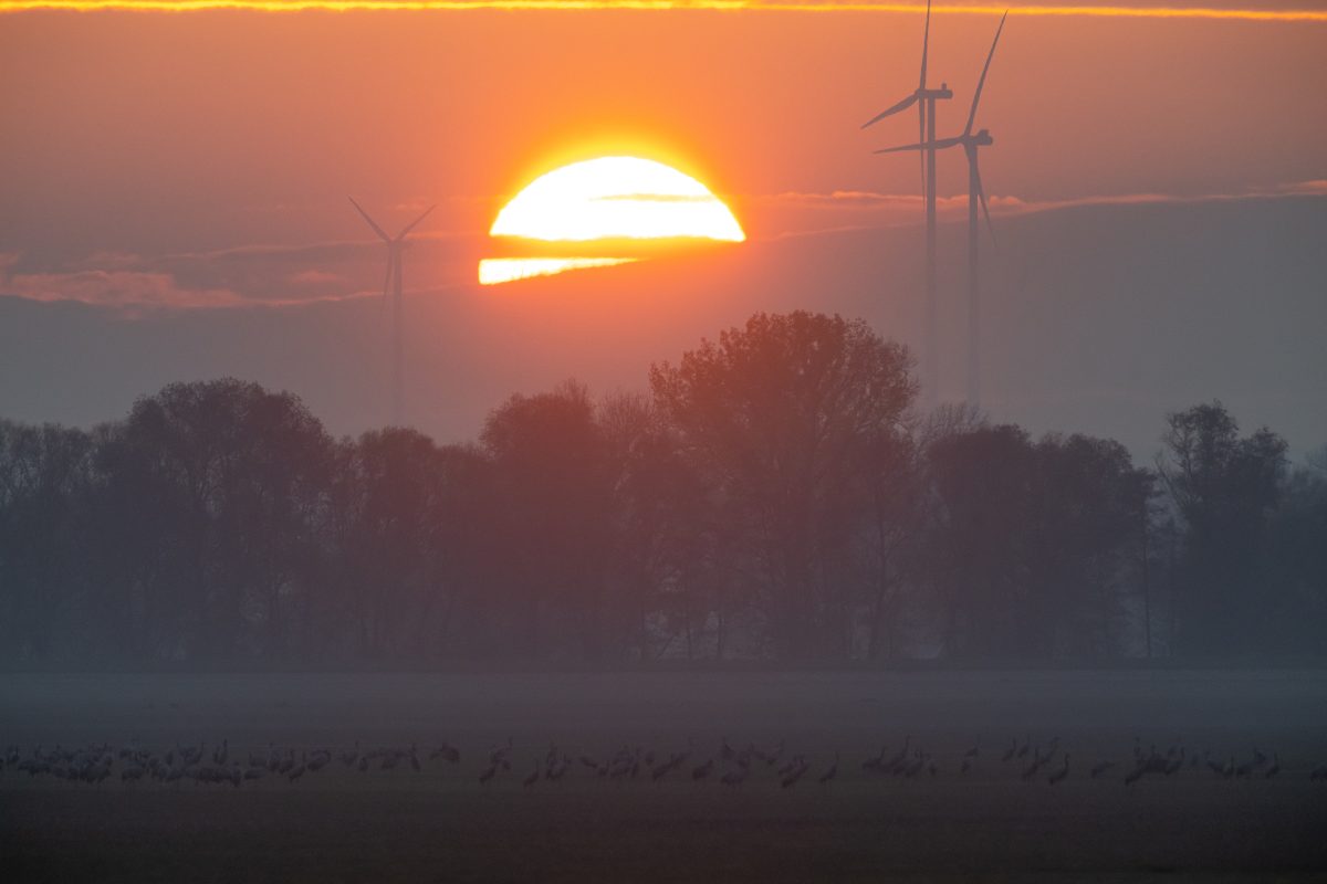 wetter thueringen