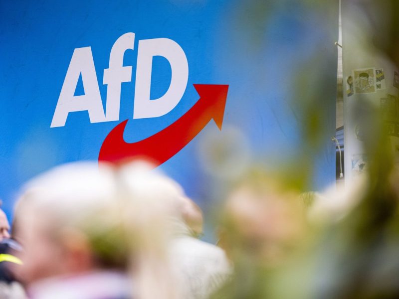 afd thueringen