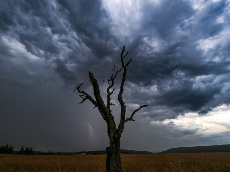 wetter thüringen