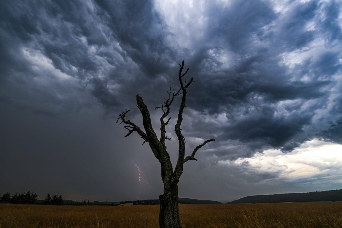 Das Wetter in Thüringen sorgte in den letzten Tagen für Hitze – dadurch steigt eine besondere Gefahr im Freistaat. (Symbolbild)