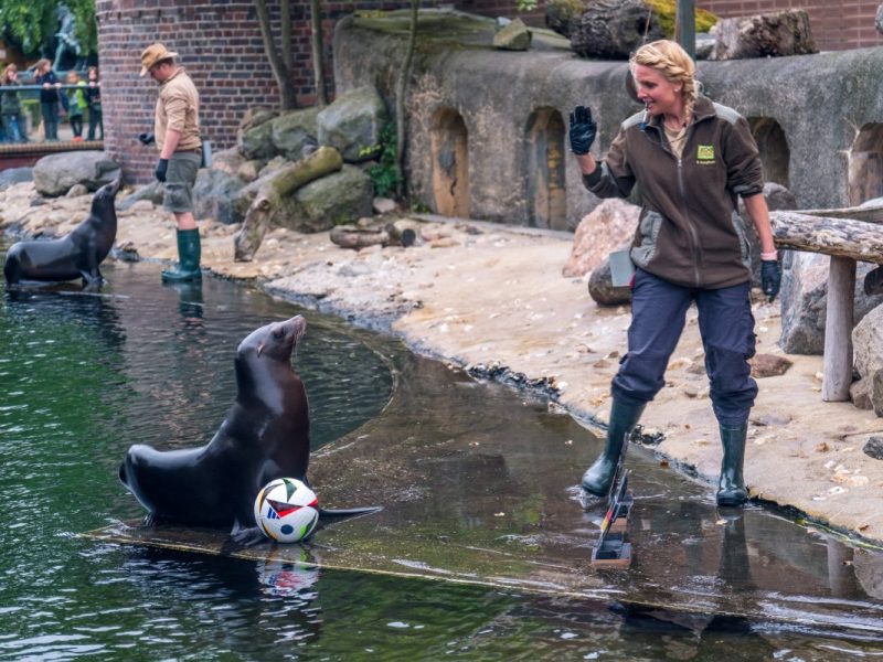 Zoo Leipzig