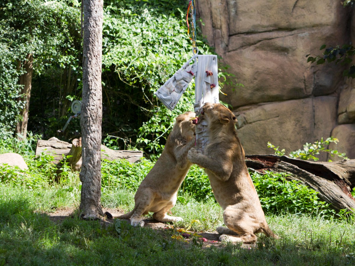 zoo leipzig