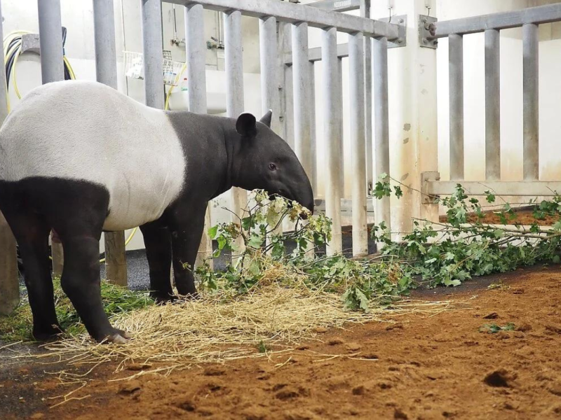 zoo leipzig
