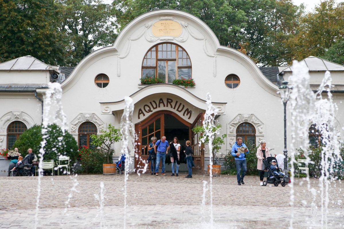 Ein Anblick bleibt den Besuchern des Zoo Leipzig fÃ¼r immer verwehrt.