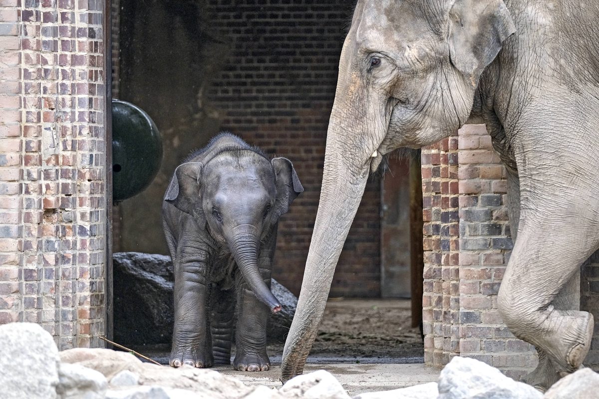 Zoo Leipzig