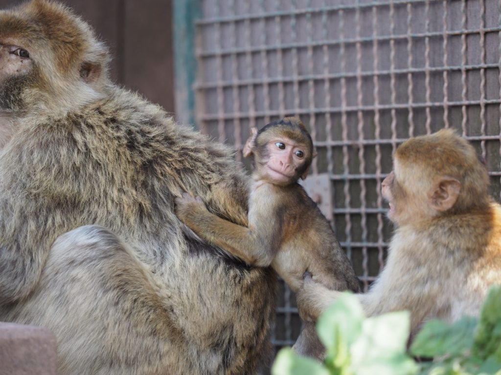 zoo erfurt