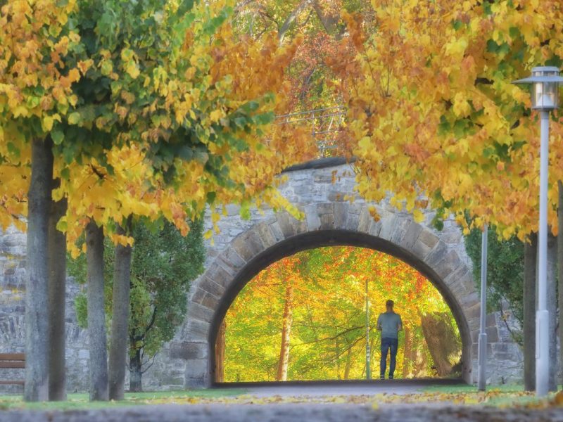 Wetterprognose Oktober - Spätsommer und Vollherbst liegen dicht beieinander