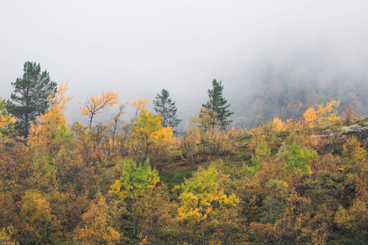 Wetter in Thüringen