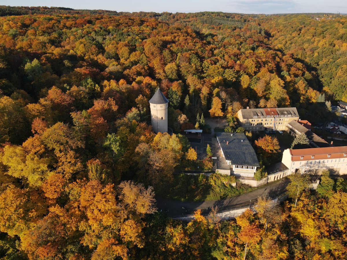 Im Stadtwald Gera in ThÃ¼ringen ging es tierisch zur Sache.