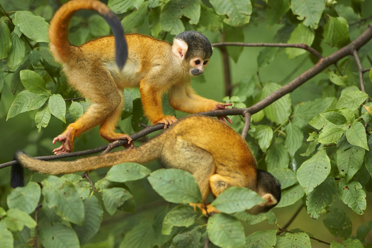 Zoo Leipzig