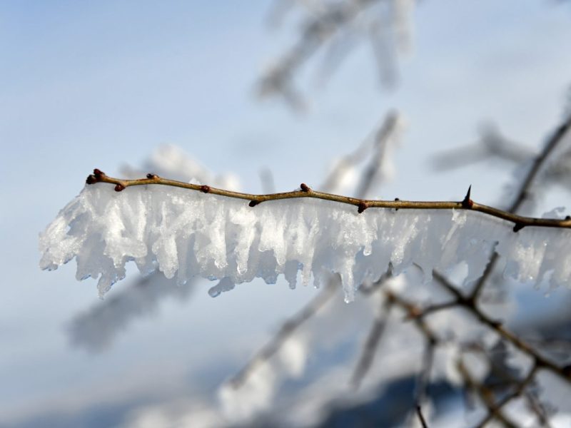 wetter thueringen