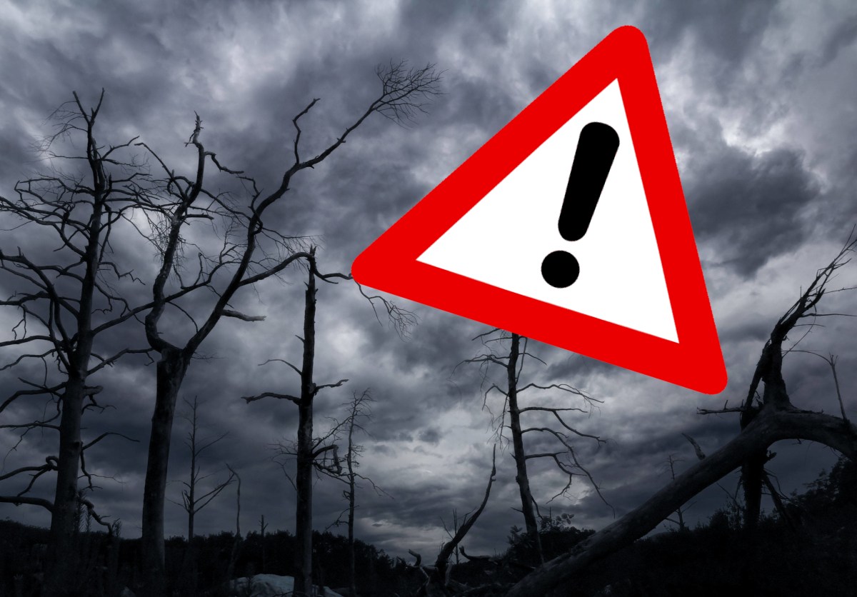 Schwarze Gewitterwolken ziehen Ã¼ber tote BÃ¤ume als Symbol fÃ¼r Waldsterben in ThÃ¼ringen.