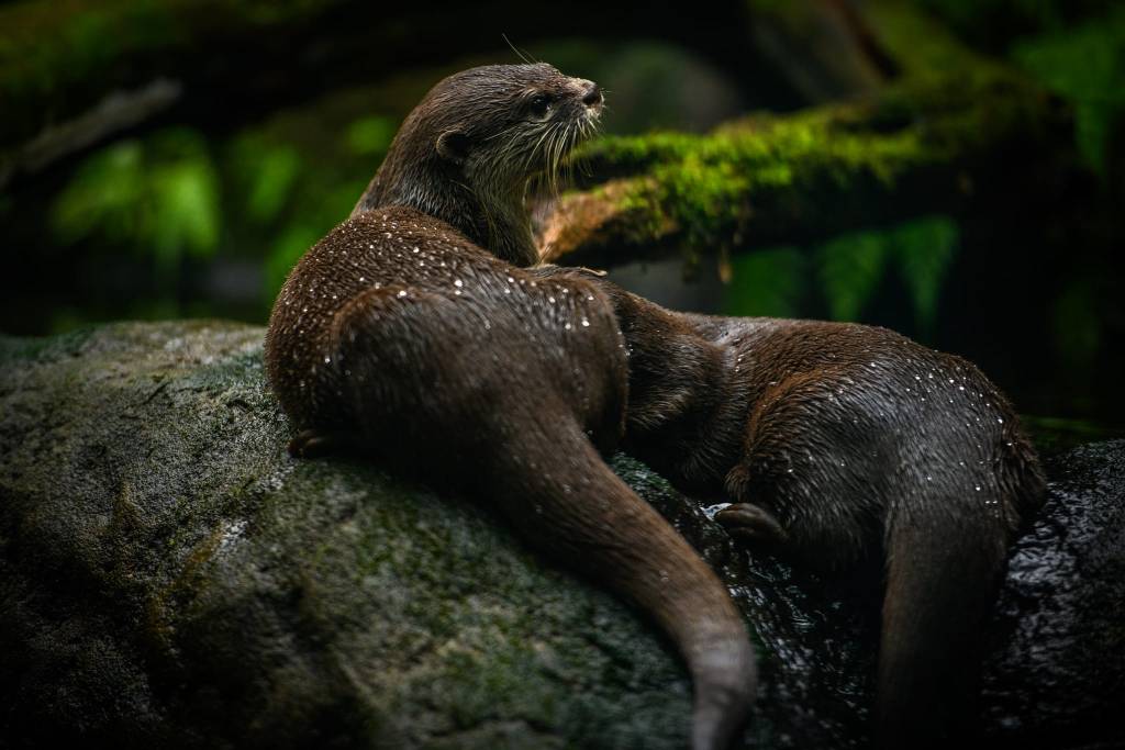 Zoo Leipzig