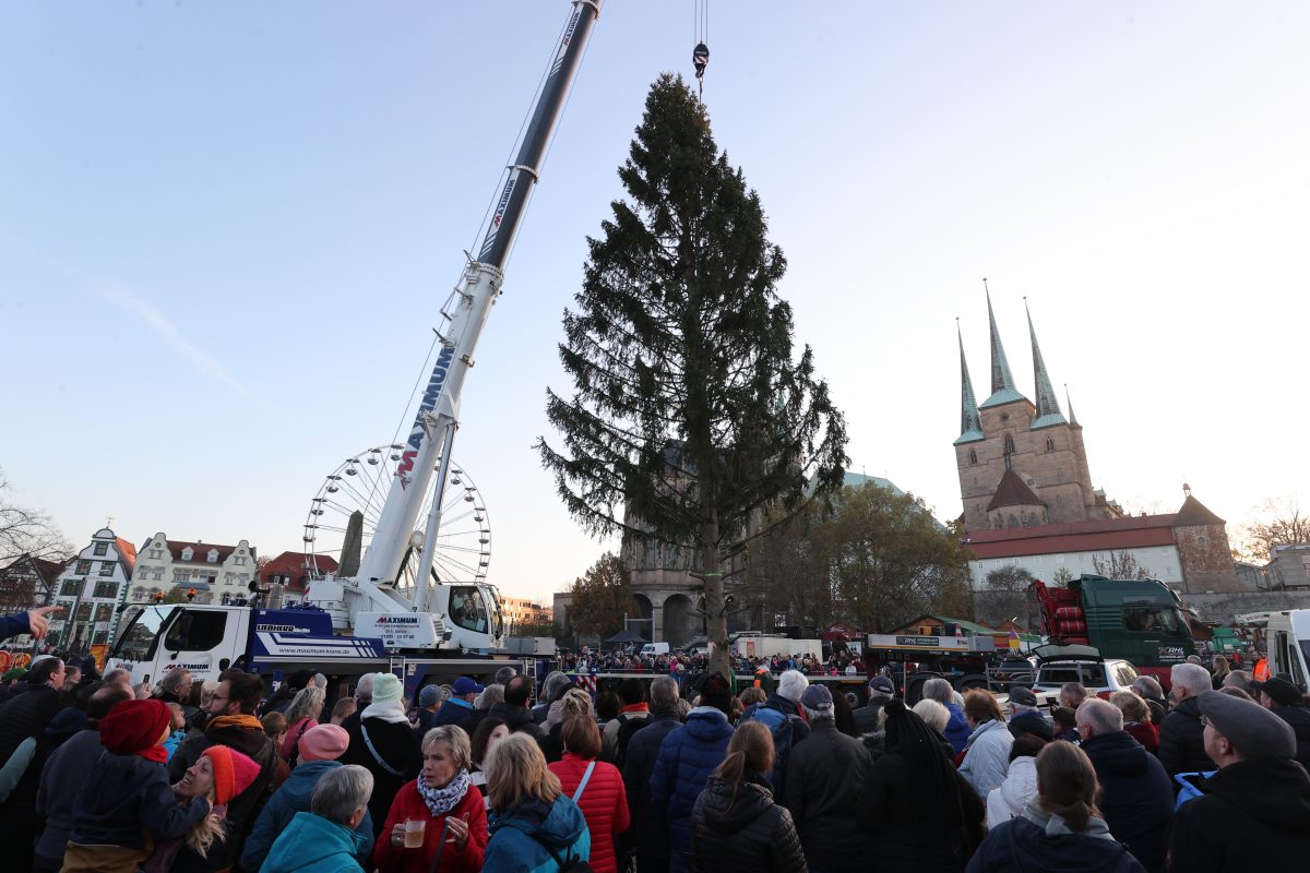 Dass der Baum nicht allen Erfurtern gefallen wÃ¼rde, war klar.