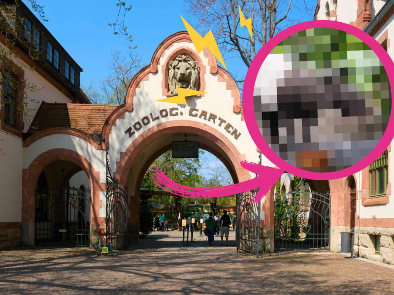 Zoo Leipzig