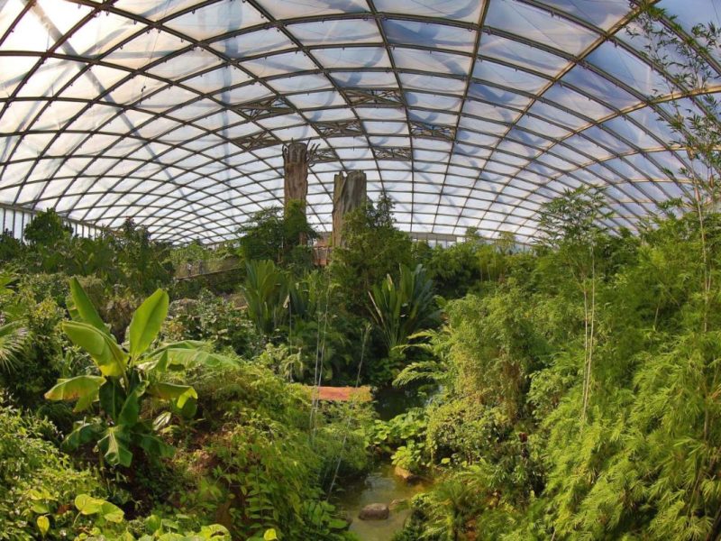 Die Tropenerlebniswelt Gondwanaland im Zoo Leipzig.