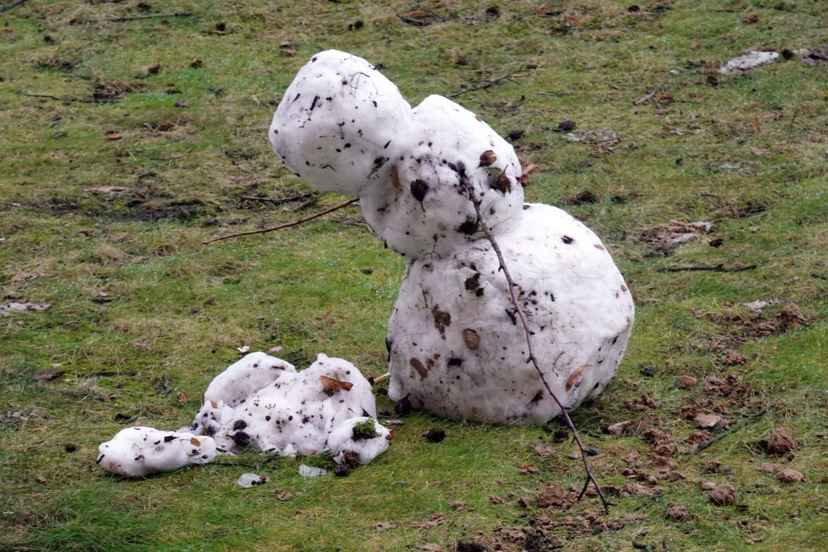 wetter thÃ¼ringen, schmelzender Schneemann