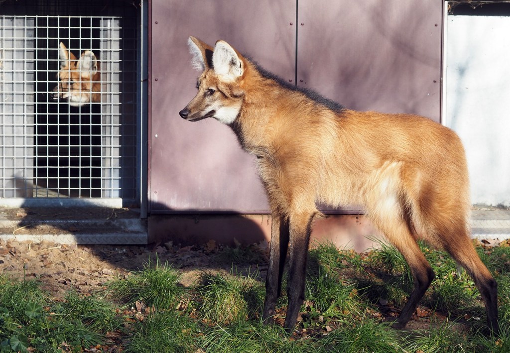 zoo leipzig