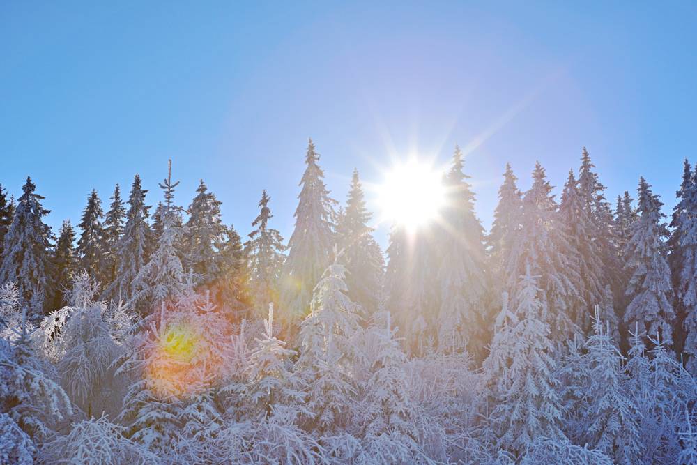 Wetter in ThÃ¼ringen