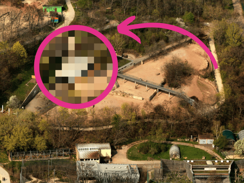 Zoo Erfurt