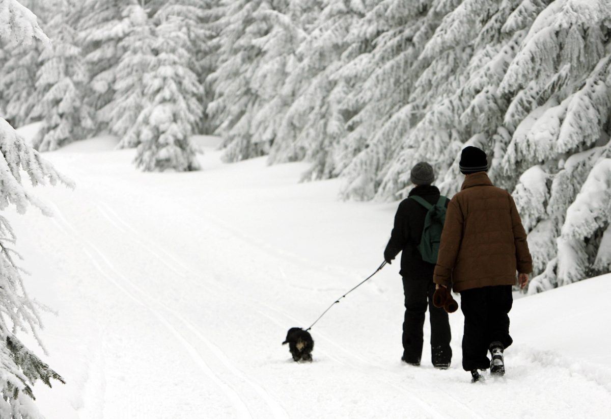 FÃ¼r Wanderer im ThÃ¼ringer Wald kÃ¶nnte es ziemlich gefÃ¤hrlich werden. (Archivbild)