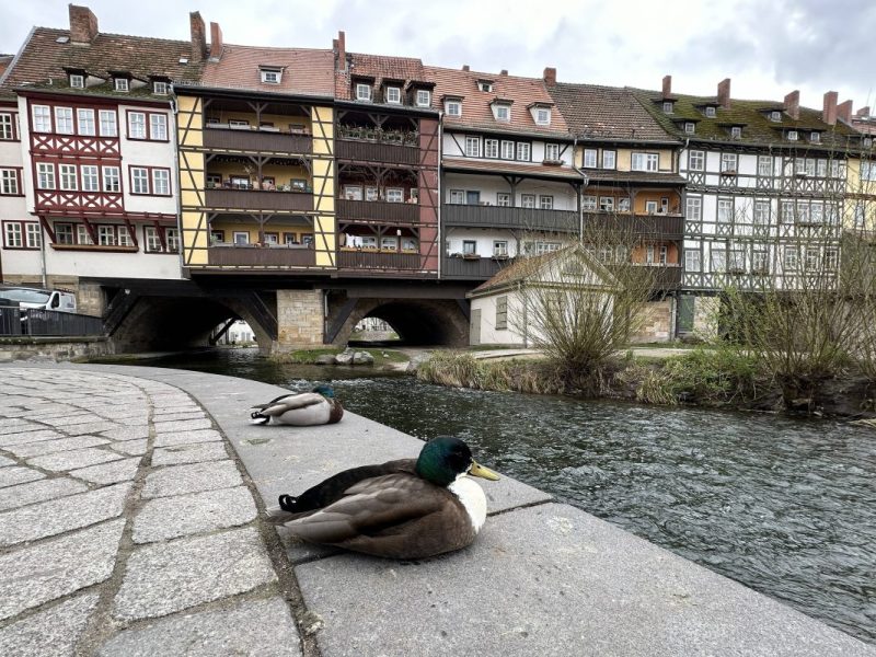 Wetter in ThÃ¼ringen: Besorgniserregende FrÃ¼hlings-Prognose! â€žAnstrengendâ€œ