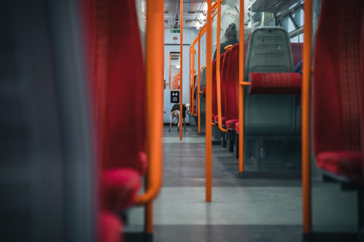 Eine junge Frau bekommt in der StraÃŸenbahn eine grausame Szene mit. (Symbolbild)