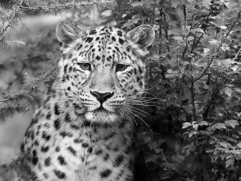 zoo leipzig