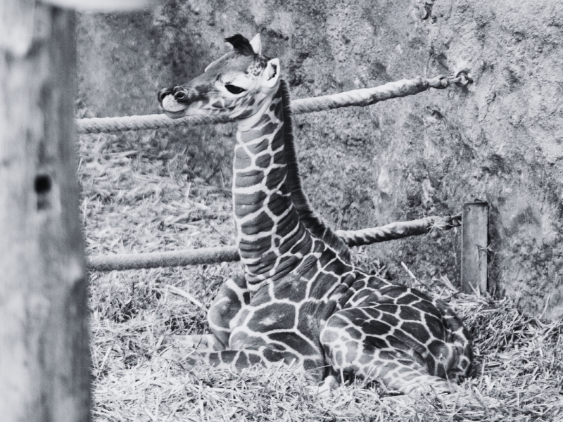 zoo leipzig