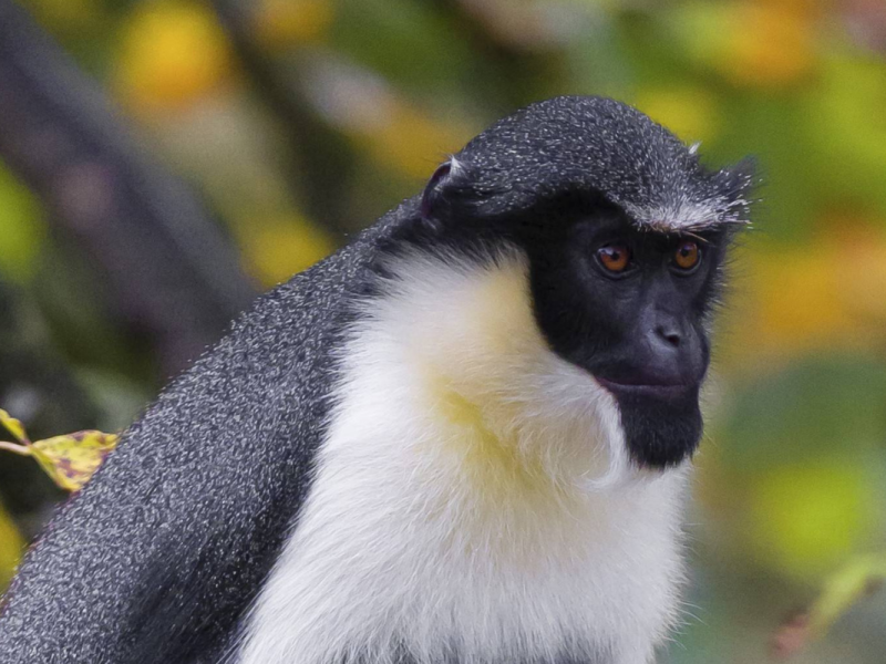 zoo leipzig