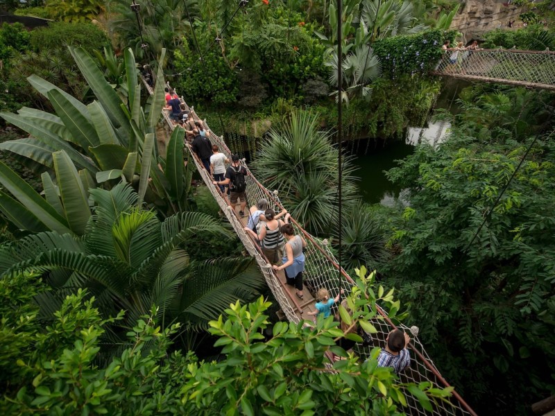 Gondwanaland im Zoo Leipzig
